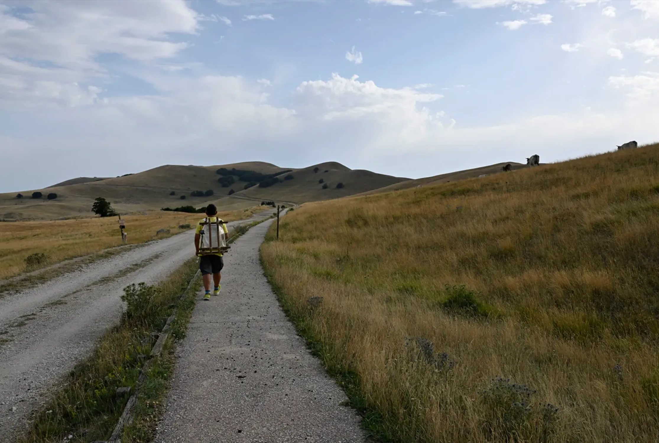 PÁROS LÁBBAL A FÖLD FÖLÖTT